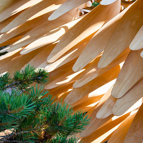 Wood leafs from a moving sculpture in interaction with the branches of a pine tree