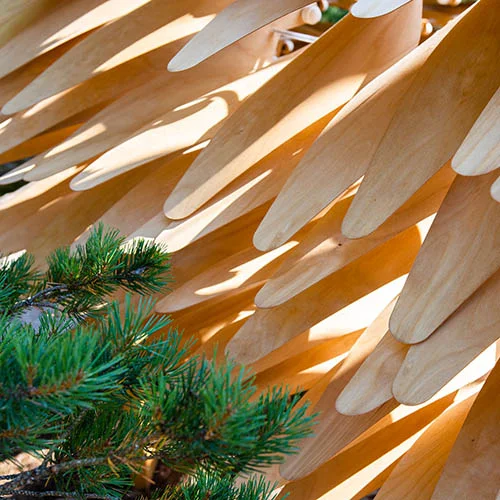 Wood leaves from a moving sculpture in interaction with the branches of a pine tree