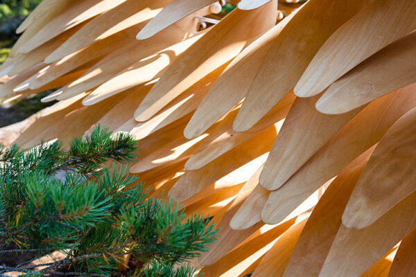 Wood leafs from a moving sculpture in interaction with the branches of a pine tree