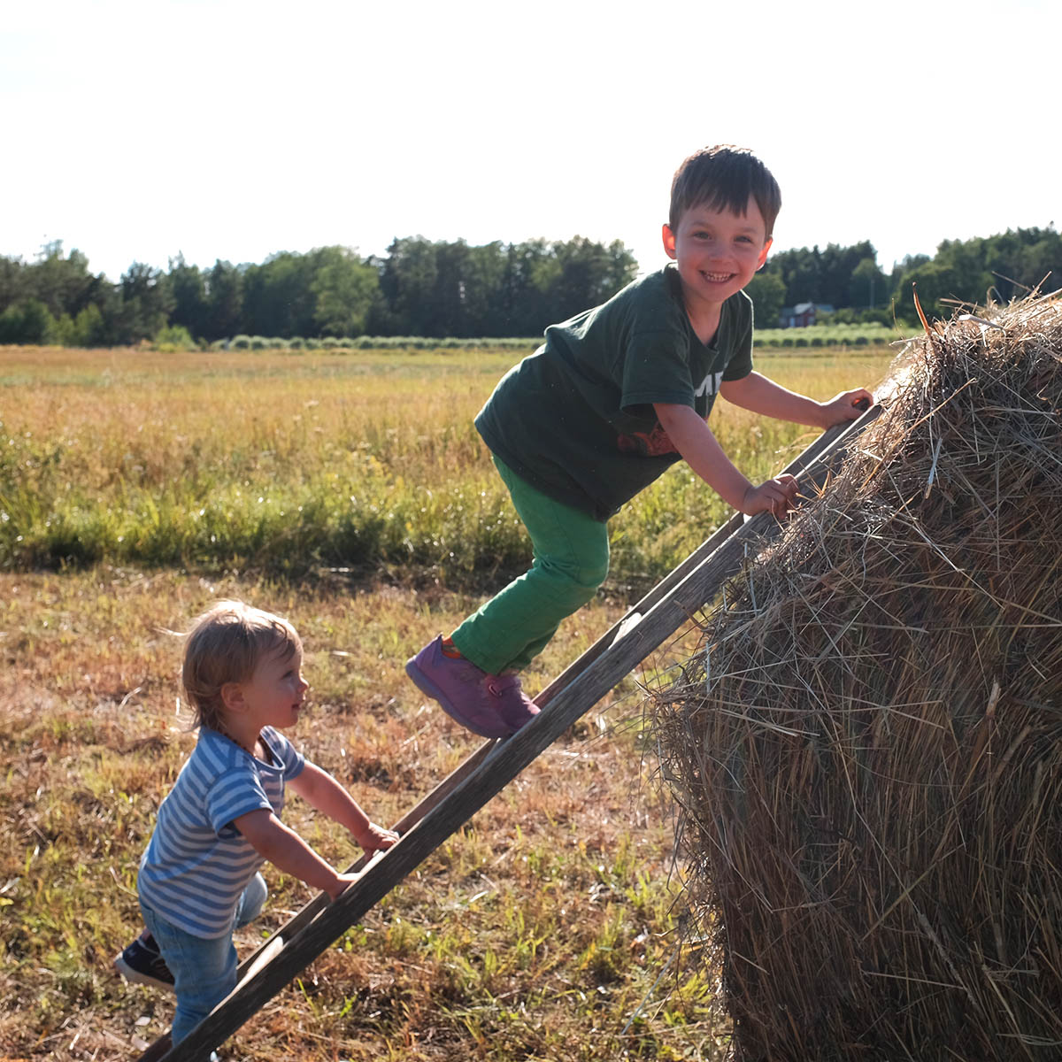 Two children playing on a hay bale