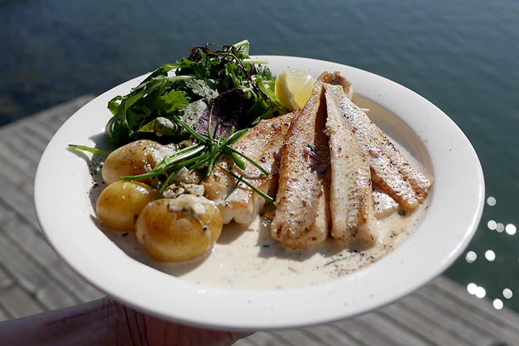 A dish with fish, new potatoes and salad in front of the sea