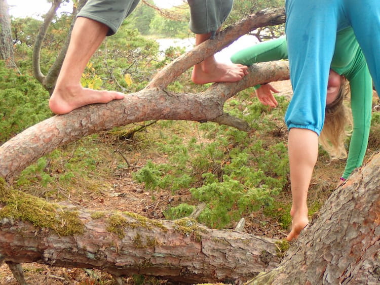 Två personer som balanserar barfota på en mossig, krökt trädgren i ett skogsområde, med fokus på sina ben och fötter.